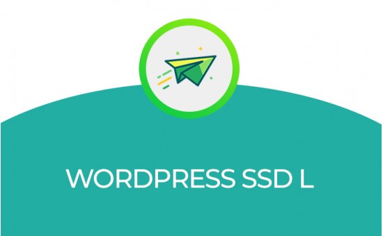 WORDPRESS SSD L WORDPRESS SSD L