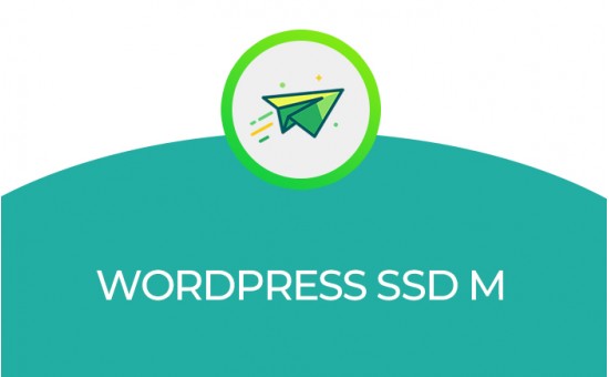 WORDPRESS SSD M WORDPRESS SSD M